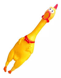 Pollo chillon